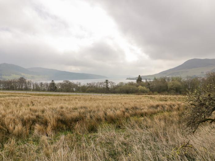 Hen Dy Craig Yr Ronwy, Bala