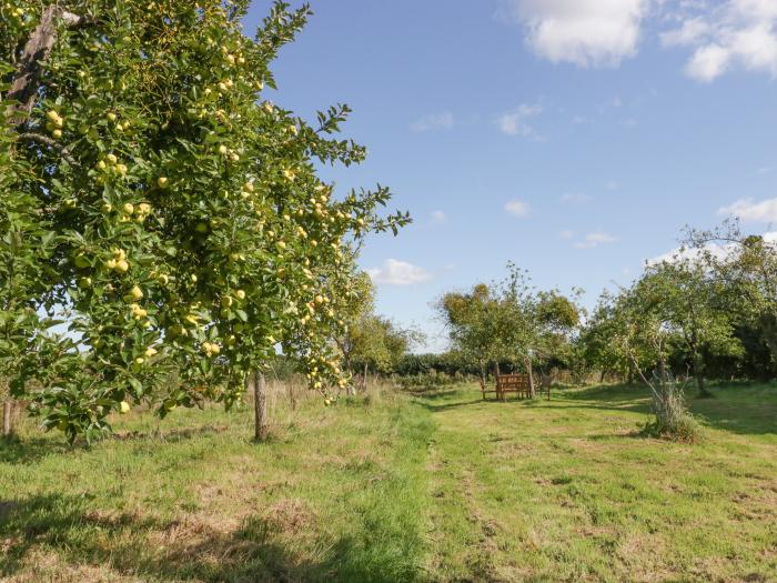 The Gardens, North Petherton