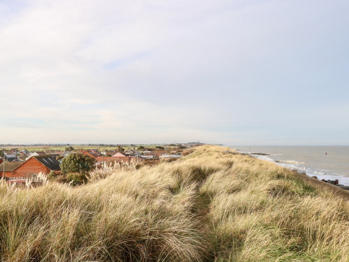 Mermaid's Purse, Eccles-On-Sea