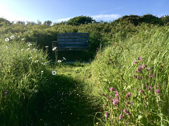 Y Twll bollt in Nolton Haven, Pembrokeshire. Single-storey chalet. Beach nearby. Pet-friendly. 2bed.