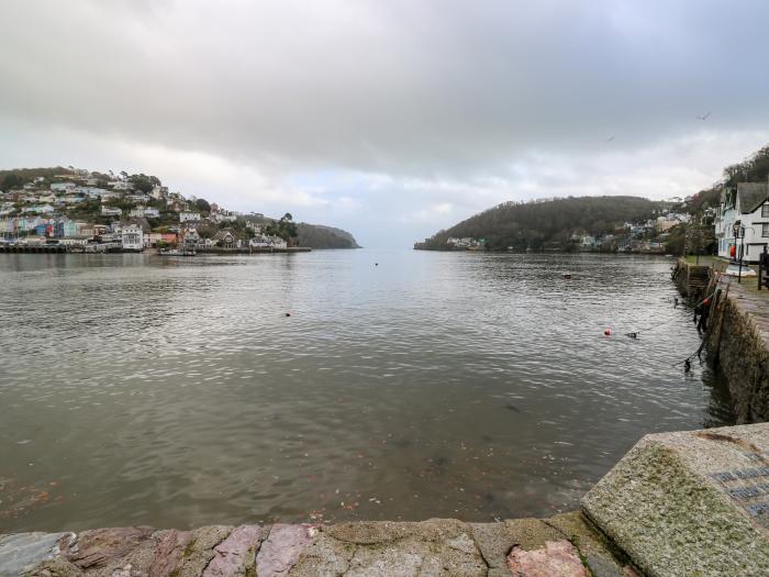 Green Retreat in the heart of Dartmouth, Devon. Paces from the waterfront. Pet-friendly. Travel cot.