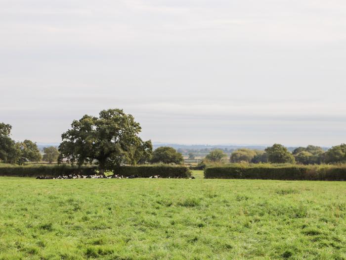 Sandmartins, Higher Kinnerton, Chester