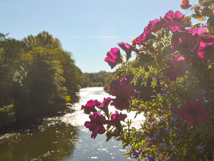 The Saltbox, Bridgnorth