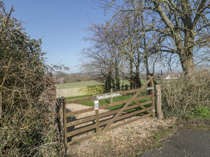 Field View, Taunton