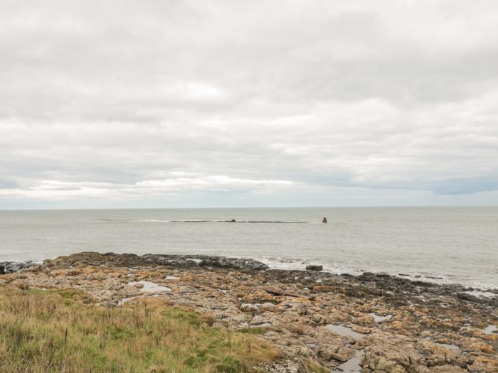 Summer Rose, Craster