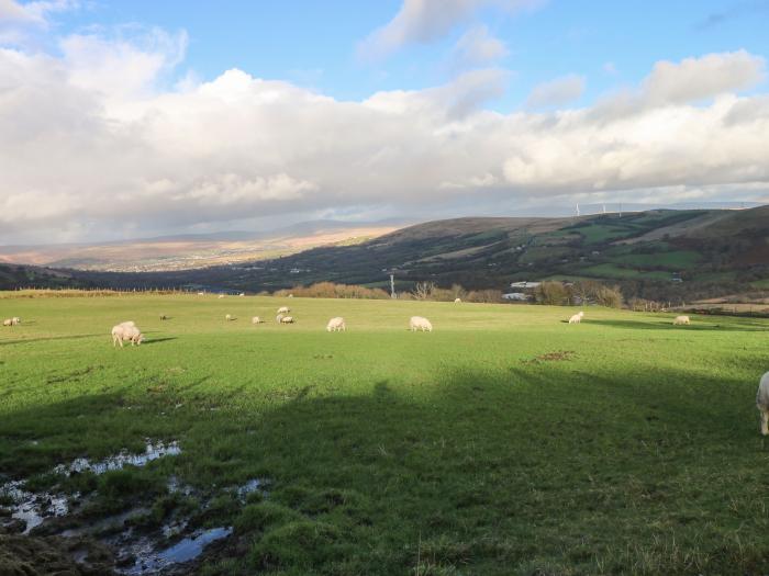 Nant Moel Isaf Farm, Pontardawe