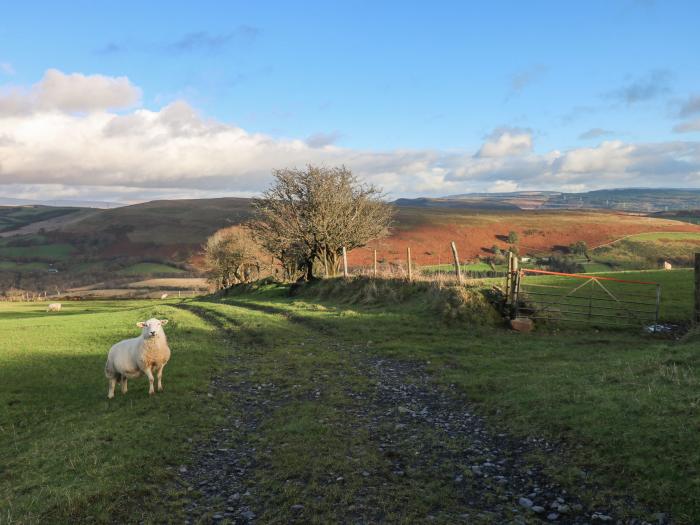 Nant Moel Isaf Farm, Pontardawe