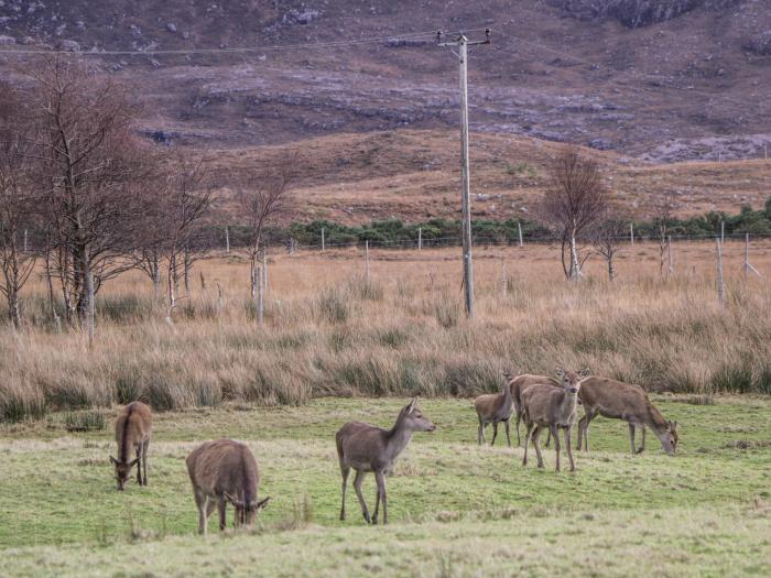 Stalkers Cottage, Torridon