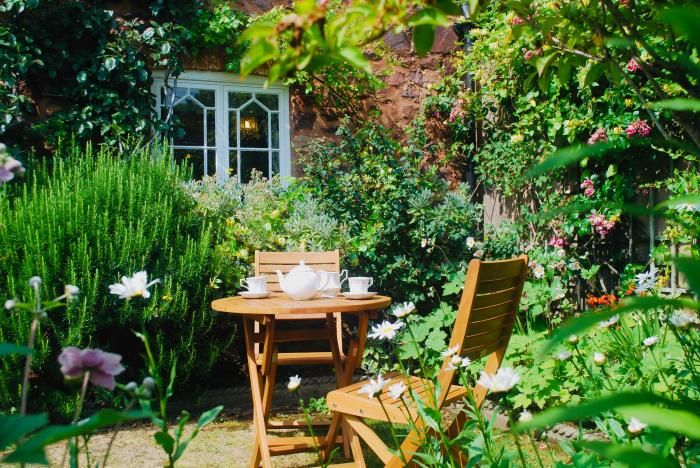 Vine Cottage, Dunster