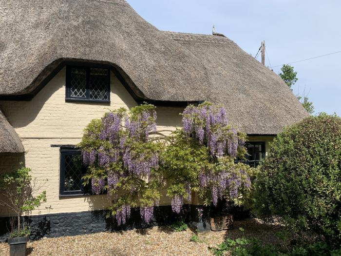 Under Acre Cottage, Winterborne Whitechurch