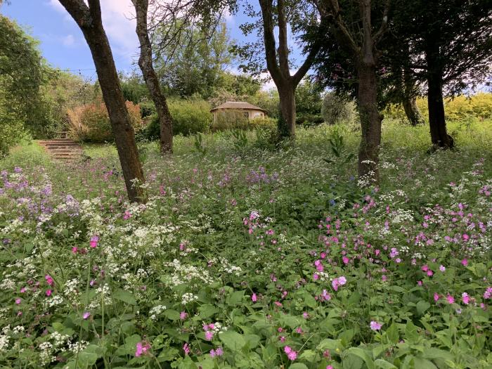 Under Acre Cottage, Winterborne Whitechurch