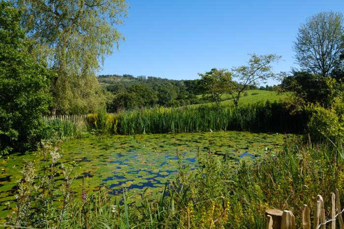 Orchard Cottage, Hawkshead