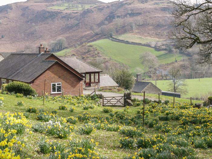 Cwm heulog, Llanfair Talhaiarn