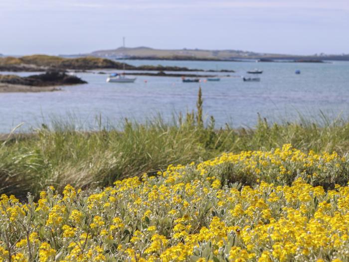 Twyni Mawr, Rhosneigr