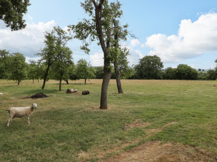 Whitlow Lodge Annex is near Huntley, Gloucestershire. One-bedroom annexe with rural views. Romantic.