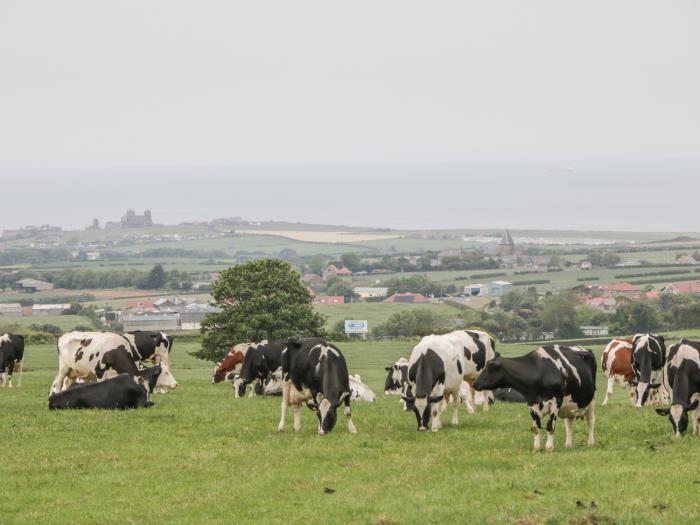 Abbey View Cottage, North York Moors And Coast