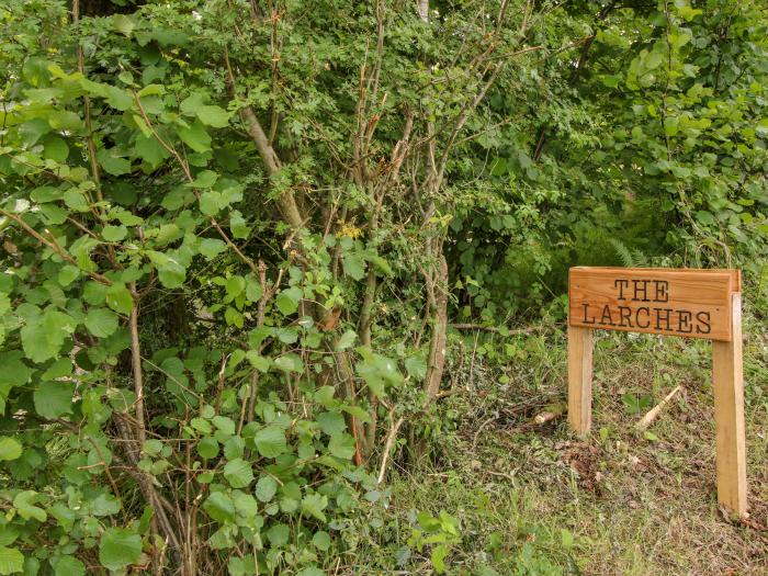 The Larches in Bryn near Clun, in Shropshire. Two-bedroom lodge, enjoying a woodland position. Rural