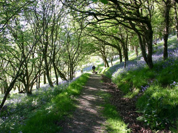 Little Torr, Drewsteignton