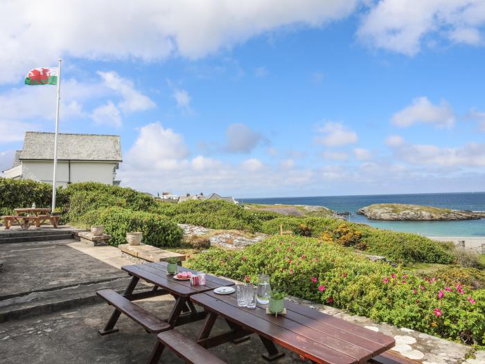 Avilion, Trearddur Bay