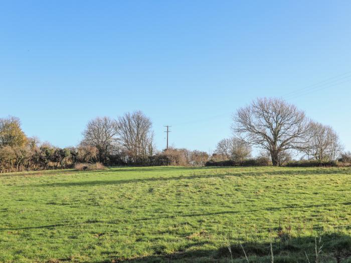 Oscar's Pad, Brynsiencyn