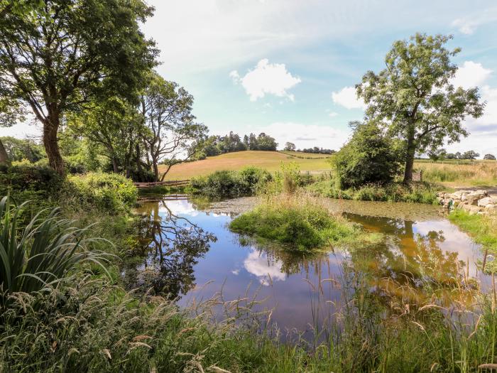 The Moorhen Retreat, Trefonen