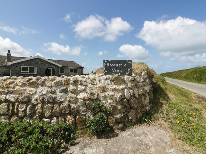 Boscastle View, Boscastle