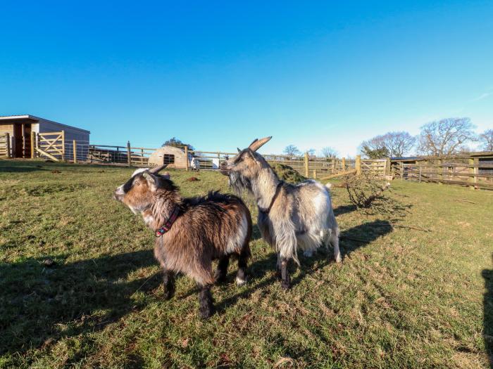 Langdale Lodge, Sampford Courtenay