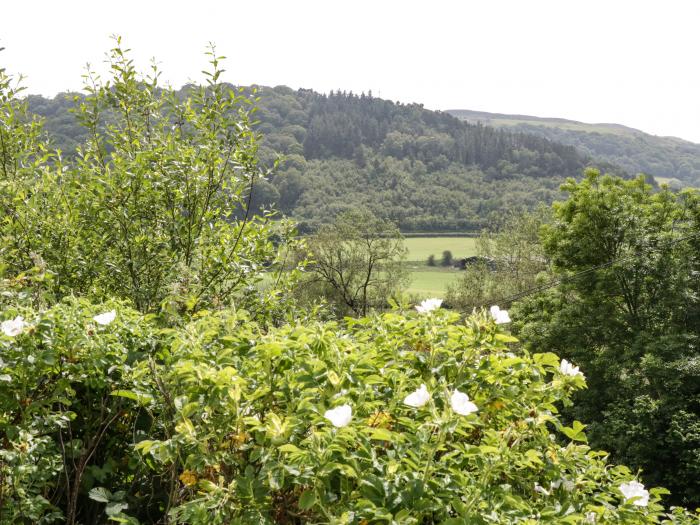 Fron Goch Farm, Llanfair Talhaiarn