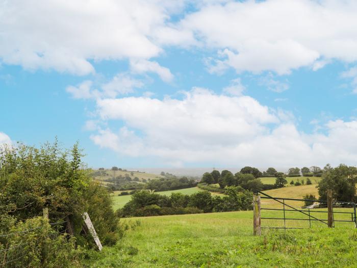 Cae Adar Farm, Coedpoeth