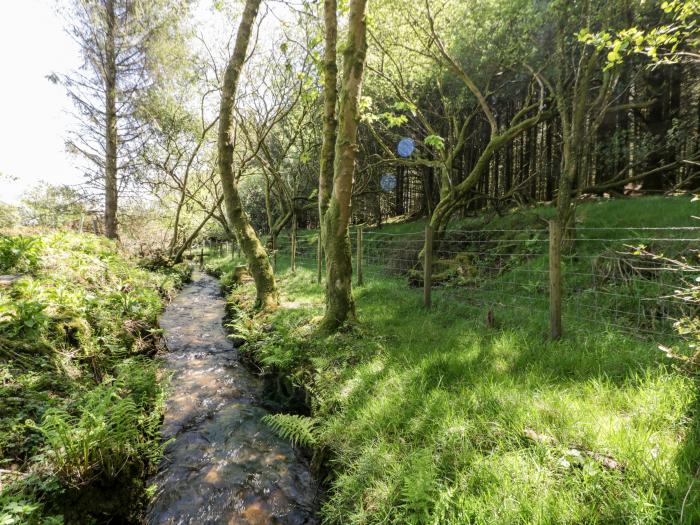 Little Trespettigue, Altarnun