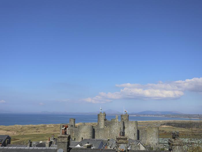 Woodpecker, Harlech