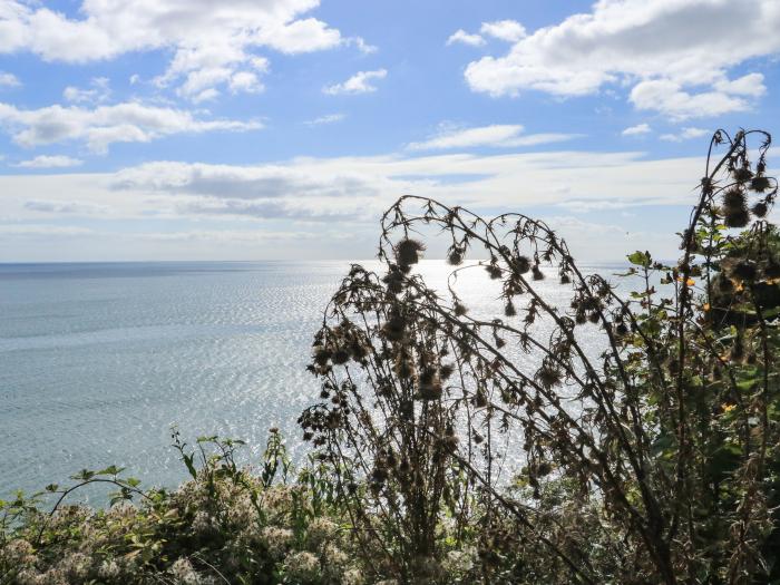 Sail Loft, Dawlish