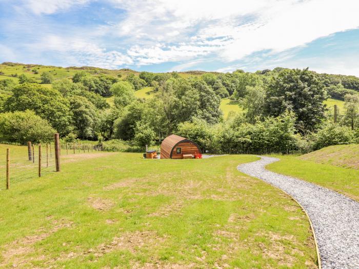 Briallen, Dolgellau