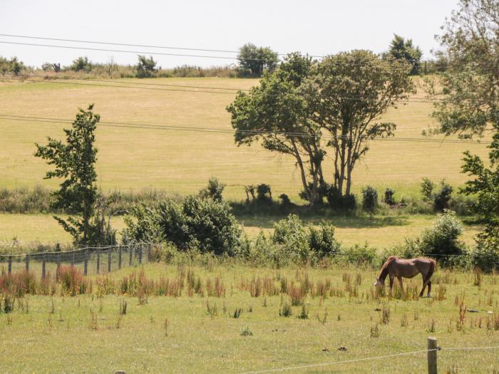 Egdon Heath, Weymouth