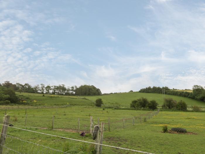 Egdon Heath, Weymouth