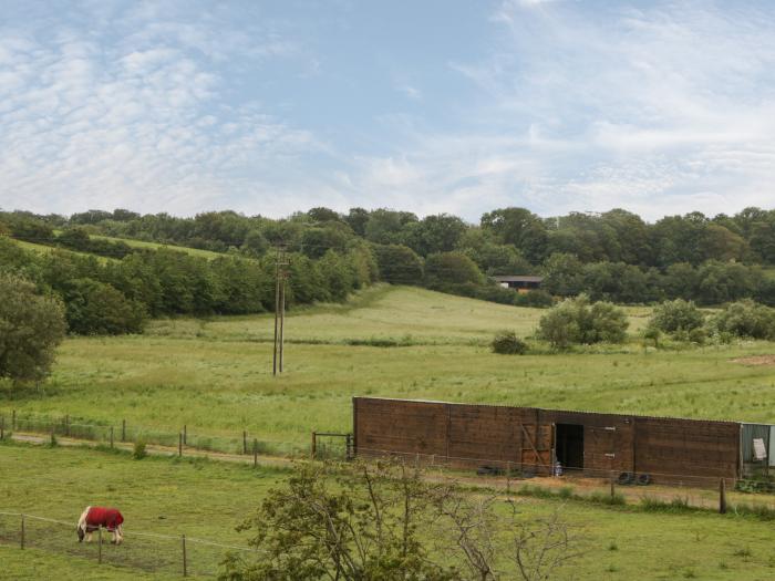 Egdon Heath, Weymouth