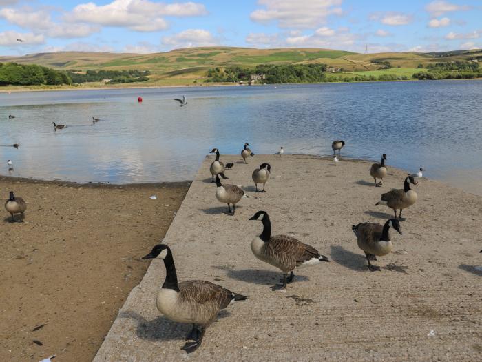 The Loft at the Lake, Littleborough