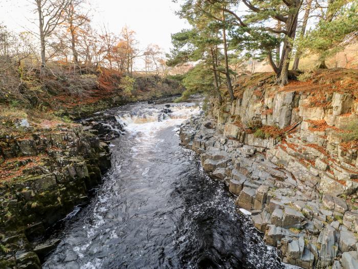 Bellevue, Barnard Castle