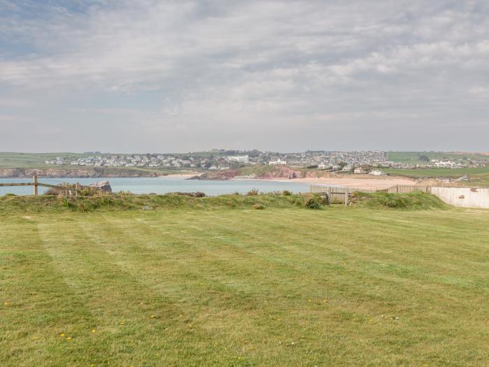 Sea Campion, Thurlestone