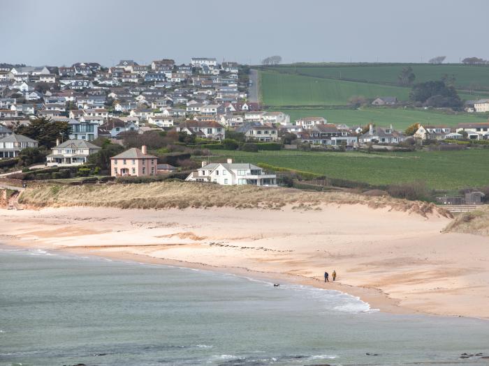 Sea Campion, Thurlestone