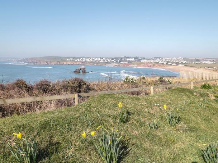 Sea Campion, Thurlestone