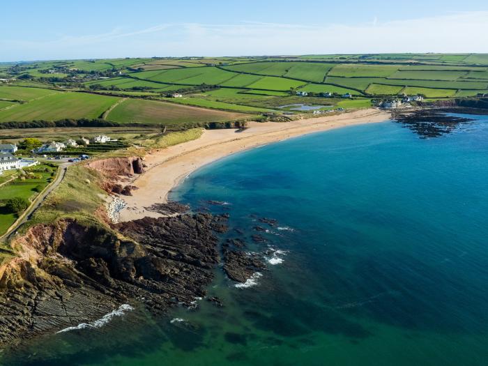 Sea Campion, Thurlestone