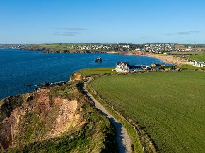 Sea Campion, Thurlestone