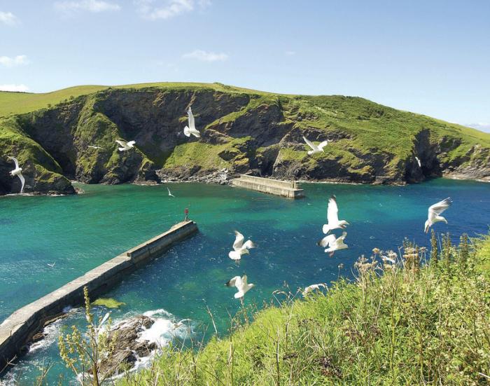 Hillside Cottage, Port Isaac