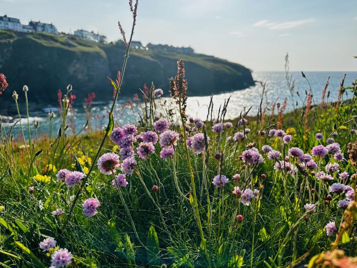 Beechmore (Prev ID:1080507 ), Port Isaac