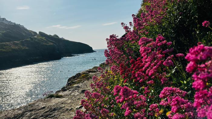 Beechmore (Prev ID:1080507 ), Port Isaac