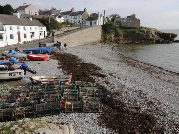 Vista, Moelfre