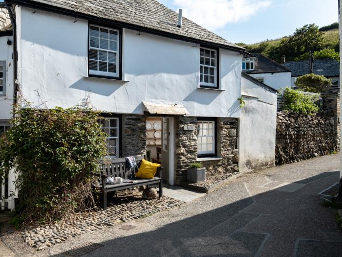 Cobweb, Port Isaac