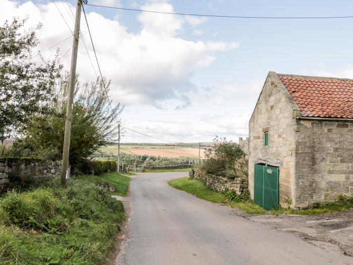 Manor House Farm Cottage, Staithes