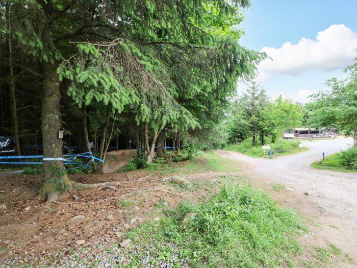 Fellend House, Cockfield, Durham, close to amenities, family and pet-friendly, near AONB, gardens